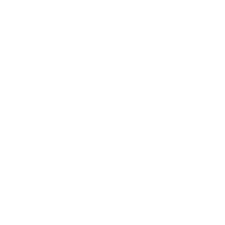 Video Blog